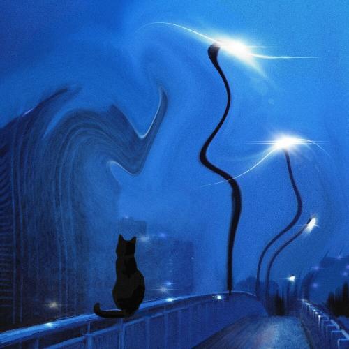 KVESTAR - meow