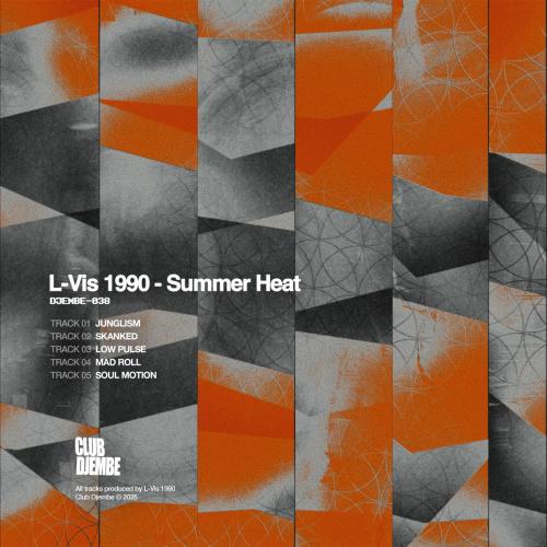 L-Vis 1990 - Skanked