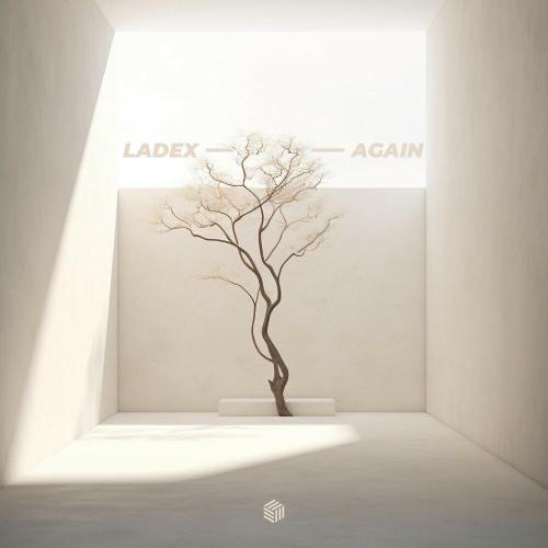 Again - Ladex