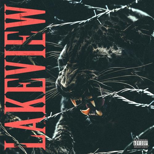 Lakeview - What I Know Now