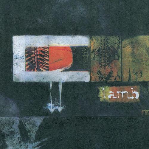 Lamb - Trans Fatty Acid