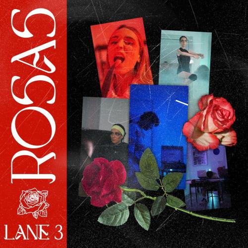 LANE 3 - rosas