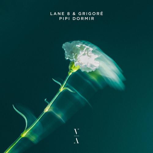 Lane 8 feat. Grigore - Pipi Dormir