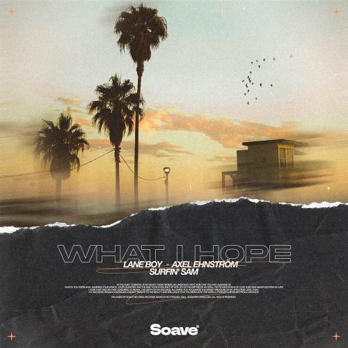 Lane Boy feat. Axel Ehnstrom x Surfin Sam - What I Hope