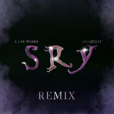 Lane Noire, moonkit - SRY (Remix)