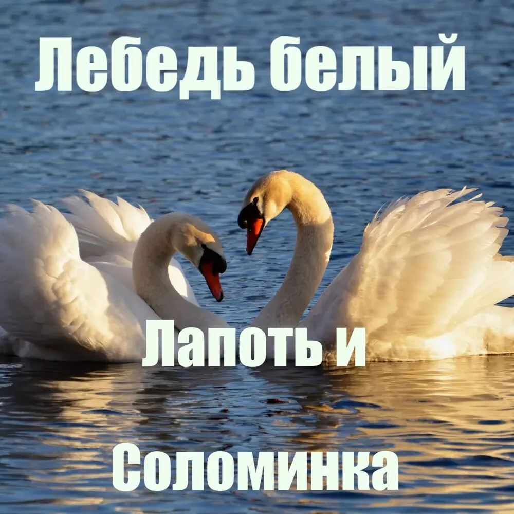 Лебедь белый - Лапоть и Соломинка