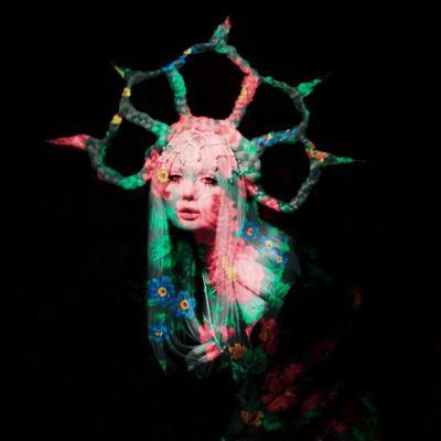 Лаву - Жар-птица