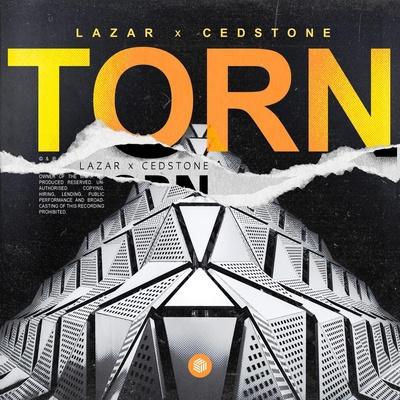 LAZAR, Cedstone - Torn