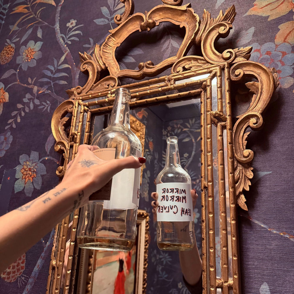 Mirror Mirror - Leah Culver