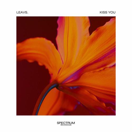 Leavs. - Kiss You
