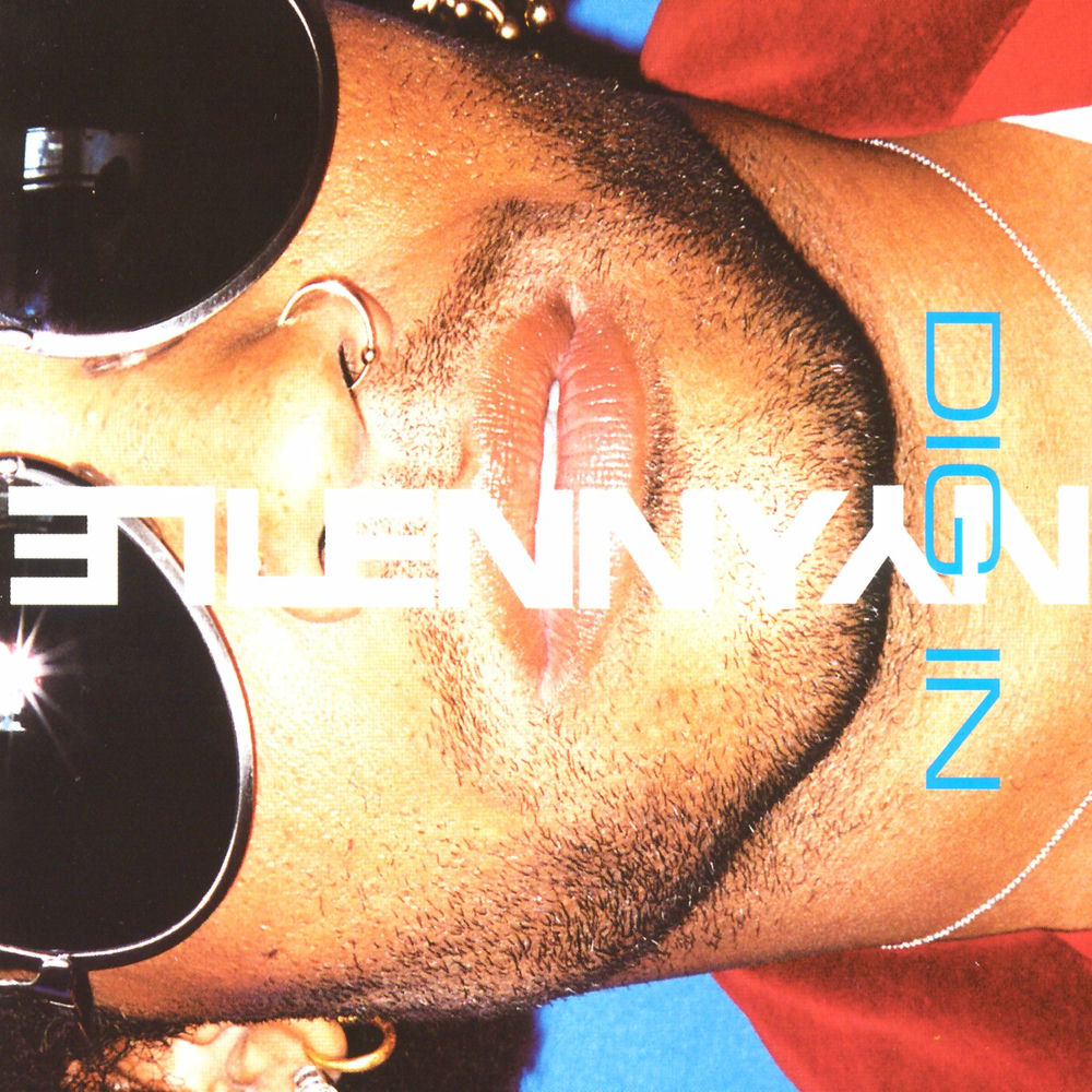 Dig In - Lenny Kravitz