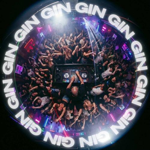 Лёша Стелит & DANORO - GIN