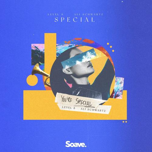 Level 8 feat. Ali Schwartz - Special