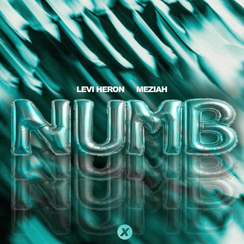 Levi Heron & MEZIAH - Numb