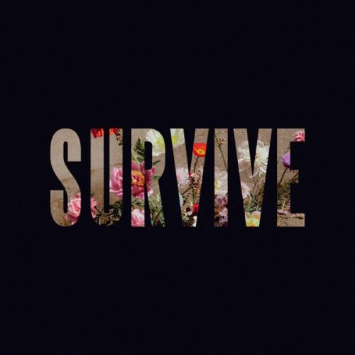 Lewis Capaldi - Stay Love