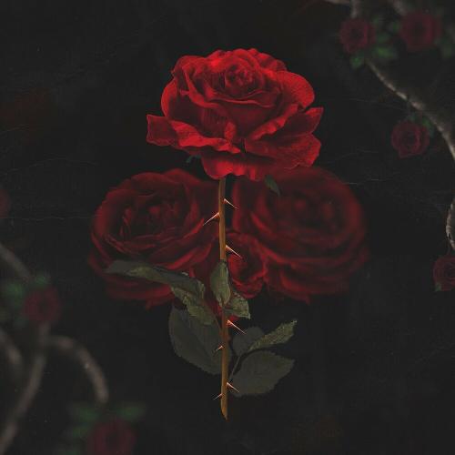 Колючая - Lexlove