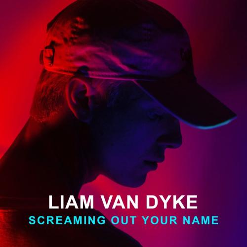 Liam Van Dyke - Screaming out Your Name ( DJ N7even Remix)