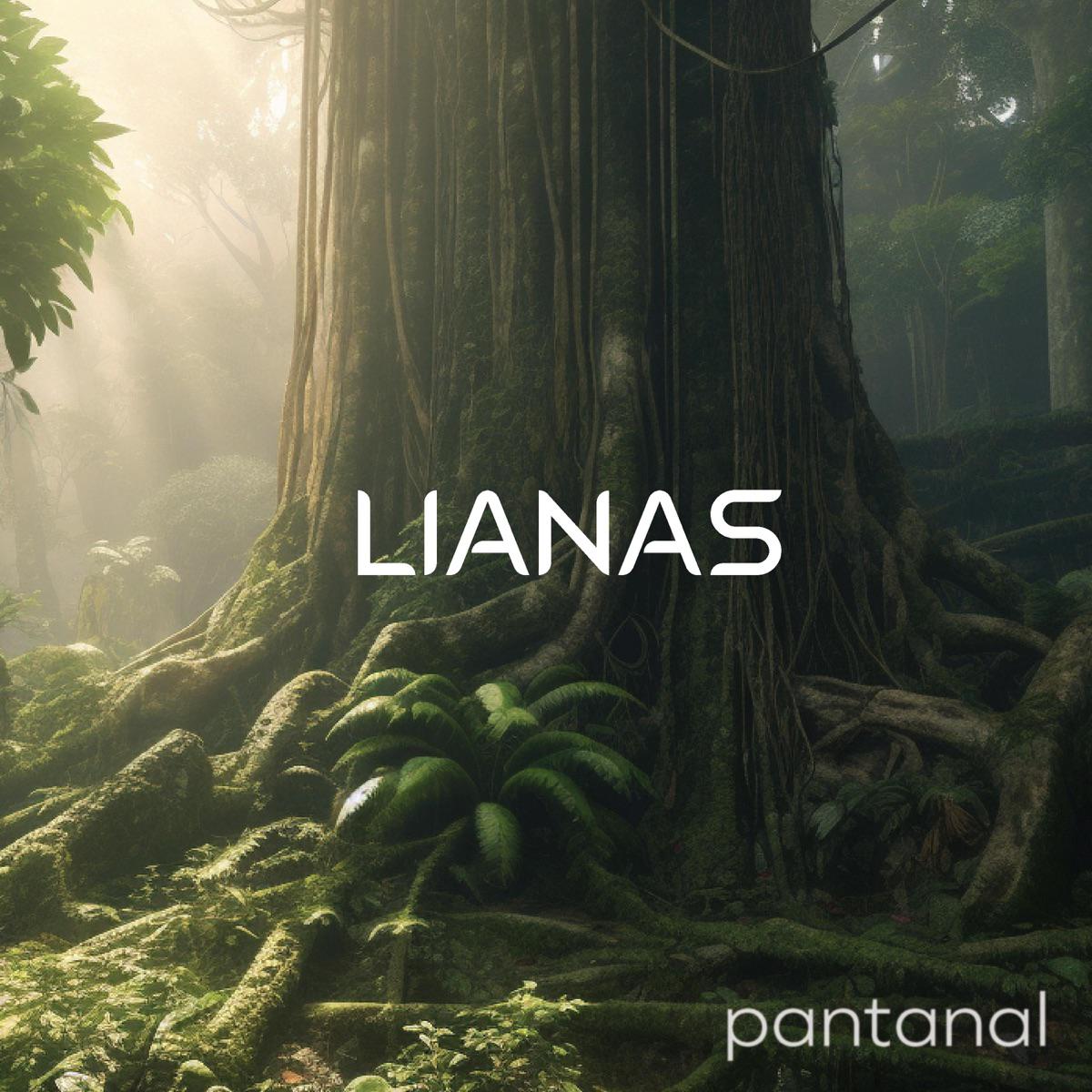 Pantanal (Spa) - Lianas