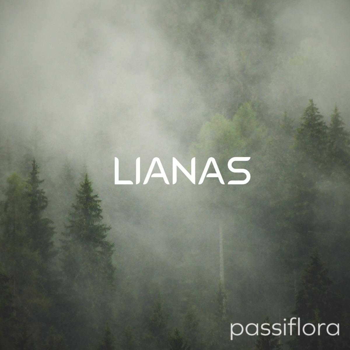 Passiflora (Spa) - Lianas