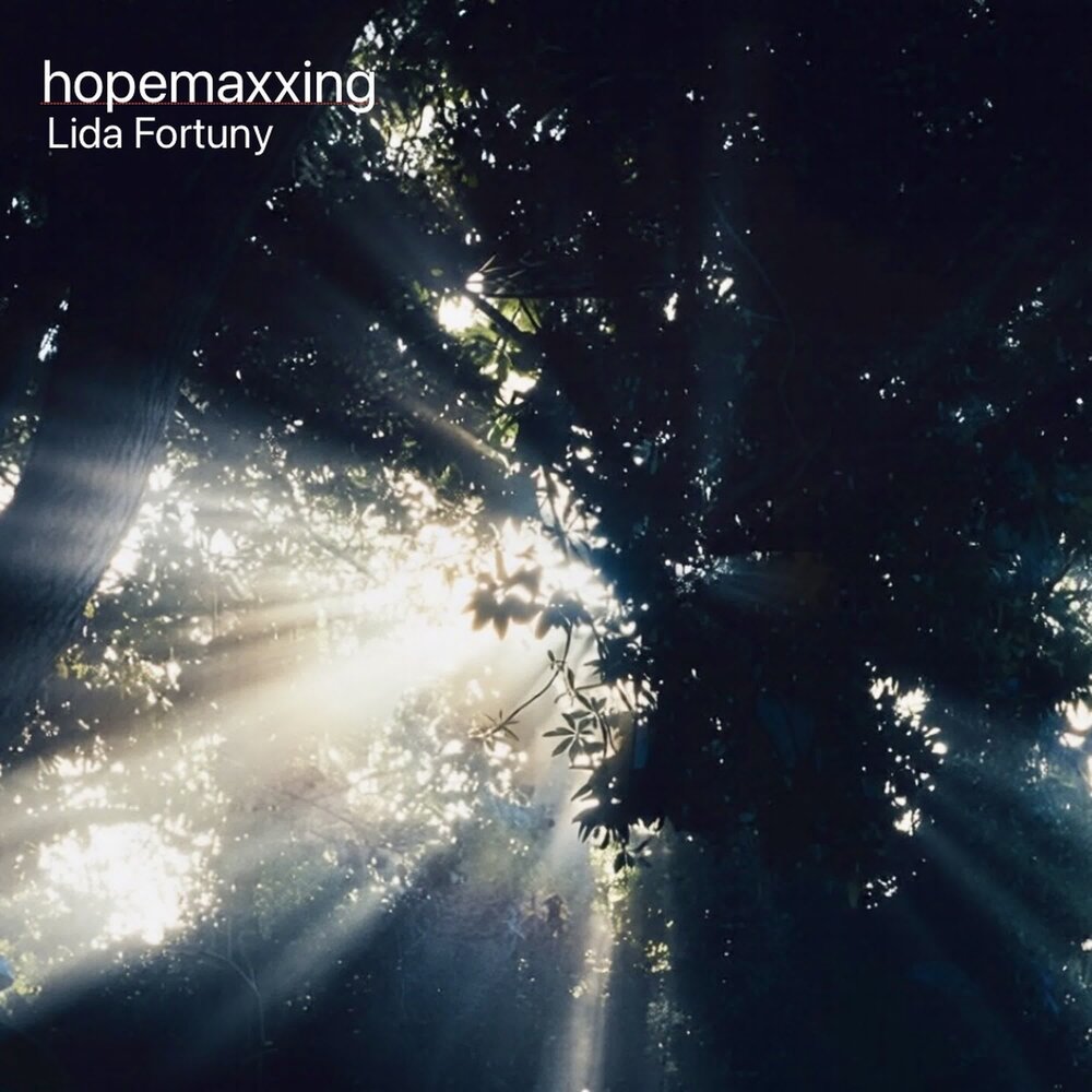 hopemaxxing - Lida Fortuny
