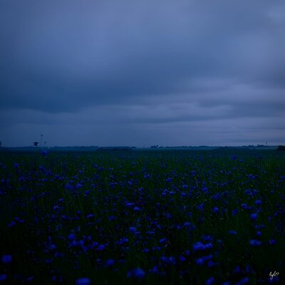 Beyond the Thought Horizon. - light_