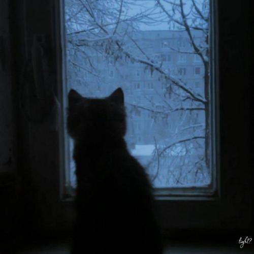 light？ - The First Snowfall