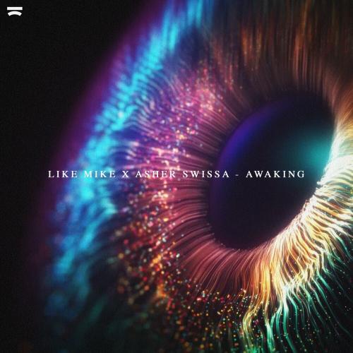 Like Mike feat. Asher Swissa - Awaking