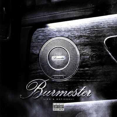 Burmester - LIKO, hatikoali