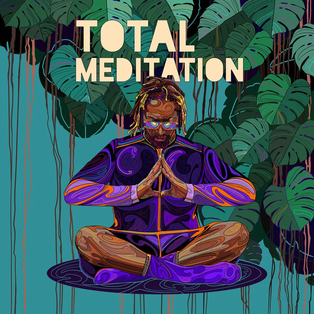 Feel Gratitude - Lil Jon, Kabir Sehgal