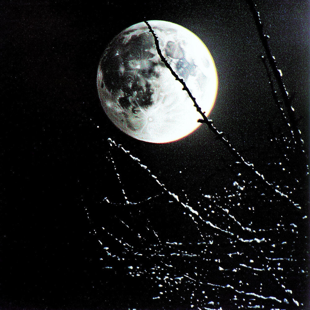 night moon (feat. SABU) - LILDRUGHILL, SABU