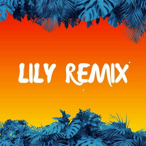 Lily Remix - DJ Right Now