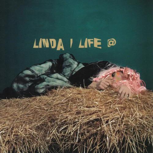 Linda - Я украду