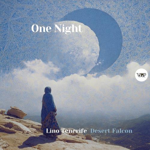 Lino Tenerife & Desert Falcon - One Night (Radio Mix)