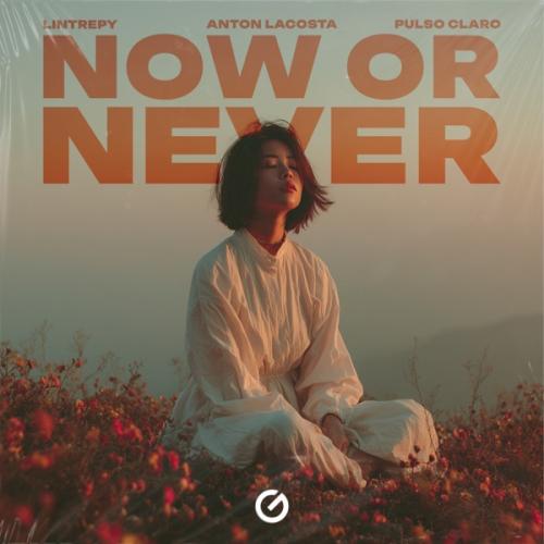 Lintrepy, Anton Lacosta & Pulso Claro - Now Or Never