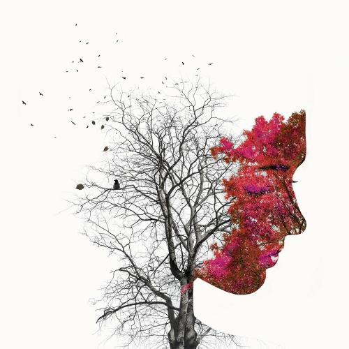 Lipless & Lokii - Tied to You