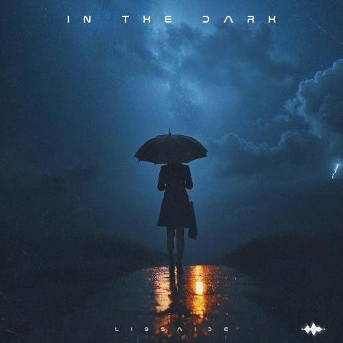 LIQSAIDE - In the Dark