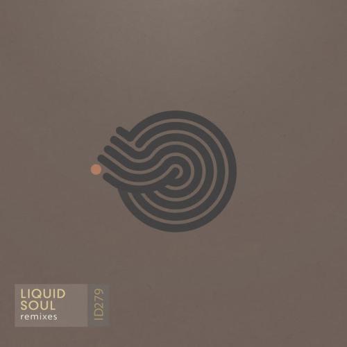 Liquid Soul,Suduaya - Devotion