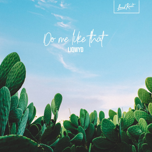 LiQWYD - Do Me Like That