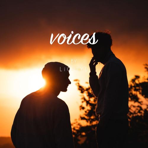Voices - LiQWYD