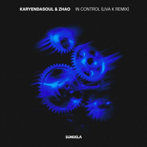 Liva K, Karyendasoul & Zhao - In Control (Liva K Remix)