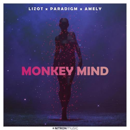 Lizot & Paradigm feat. Amely - Monkey Mind