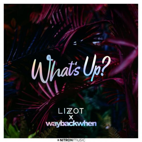 What's Up_ - Lizot & waybackwhen