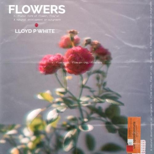 Lloyd P-White - Flowers