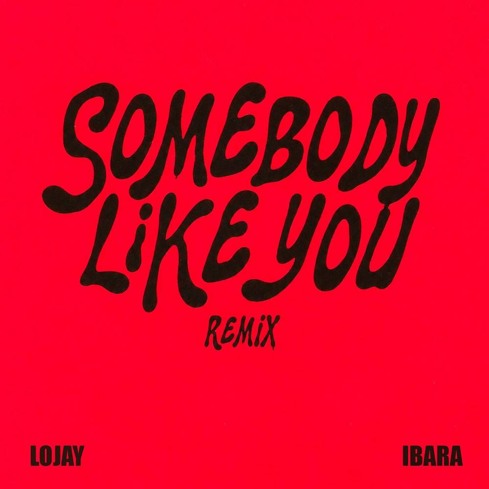Somebody Like You (Ibara Remix) - Lojay & Ibara