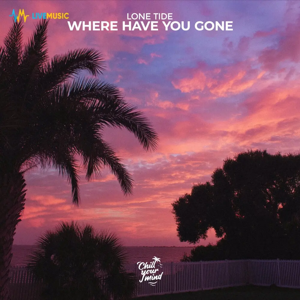Where Have You Gone - lone tide