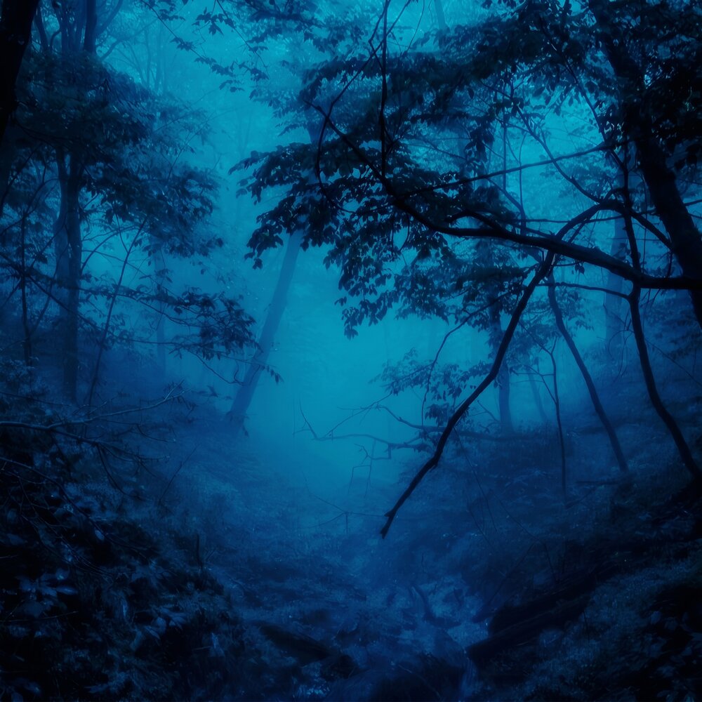 obscura - lonely