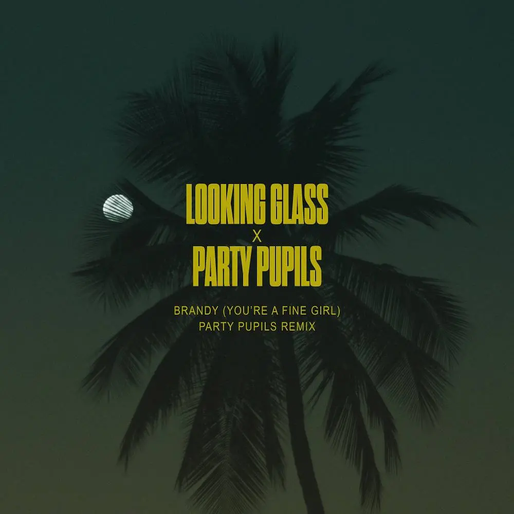 Brandy (You're a Fine Girl) [Party Pupils Remix] - Looking Glass & Party Pupils