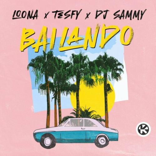 Loona feat. TESFY x DJ Sammy - Bailando