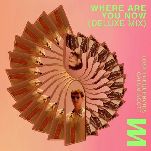 Lost Frequencies feat. Calum Scott - Where Are You Now (Deluxe Mix)