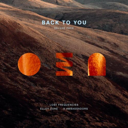 Lost Frequencies feat. Elley Duhe & X Ambassadors - Back To You (Dzeko Remix)